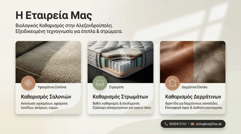 Υπηρεσίες βιολογικού καθαρισμού - Υφασμάτινα σαλόνια, στρώματα και δερμάτινα έπιπλα